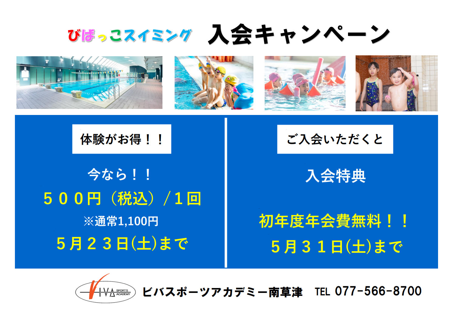スイミング紹介キャンペーン！